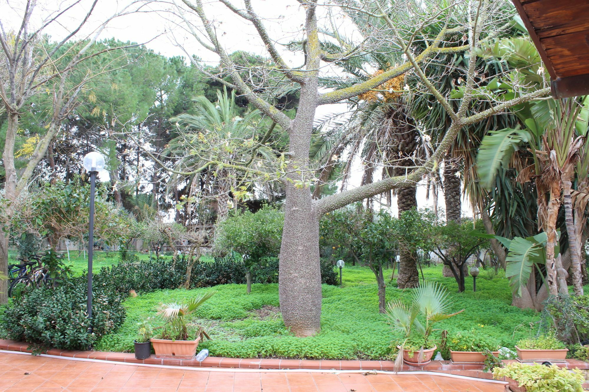 Villa Delle Nifee Mazara del Vallo Eksteriør bilde